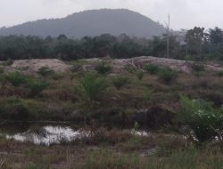 Legenda Ular Raksasa di Bukit Panca