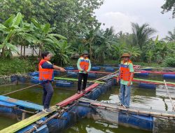 Optimalisasi Manajemen Budidaya Ikan: Pertamina Berikan Pelatihan RSD Untuk Kelompok Tani Millenial