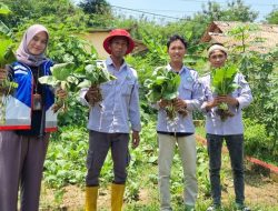 Transformasi Hijau Pertamina: Lahan Bekas Galian Jadi Sumber Pangan dan Produk UMKM