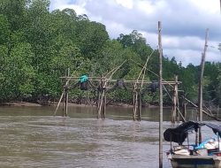 Tradisi Tuguk di Ambang Kepunahan Nelayan di Sungai Beras dan Sungai Jering Menjerit