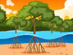 Rabeng, Penjaga Kampungku