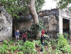Epedemi Cacar dan Kolera di Pulau Lepar