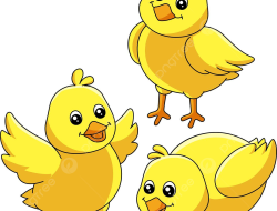 Anak Ayam Dalam Parit