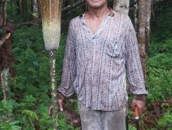 Bunga Bangkai ditemukan Di Desa Gudang