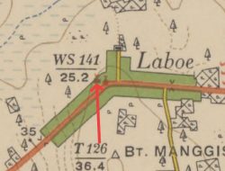 Masjid Nurul Yaqin, Labu