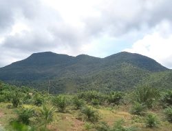 Ketinggian Bukit Permis dan Maras dalam Catatan Buddingh 