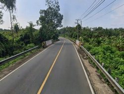 Buddingh Disuguhi Minuman Ini Oleh Kepala Kampung Puding