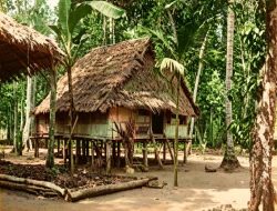 Rumah di Kampung Air Biru