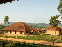 Buddingh ke Kampung Mayang, Ia Membeli Kayu Sala