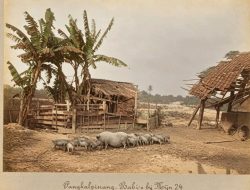 Buddingh ke Sungailiat, Melewati Kampung Panji
