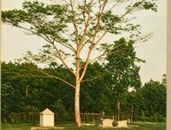 Sungailiat, Kota yang Indah dan Tertata Rapi