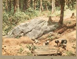 Dua Keunikan Distrik Merawang dan Burung Kecil