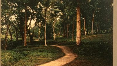 Buddingh: Suatu Pagi di Muntok