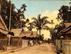 Catatan Perjalanan Teijsmann (Bagian 10)