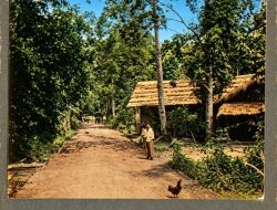 Catatan Perjalanan Teijsmann (Bagian 12)
