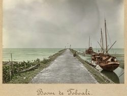 Catatan Perjalanan Teijsmann (Bagian 15)