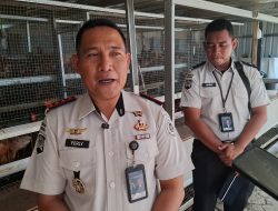 700 Ayam di Balik Tembok Rutan Mentok: Ketahanan Pangan, Keterampilan dan Jalan Pulang Warga Binaan