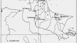 Daftar Burung yang Tercatat dari Pulau Bangka (Bagian 2)